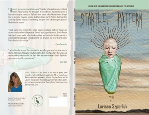 "Passage" by Amy Guidry on the cover of "Startle Pattern" by Larissa Szporluk